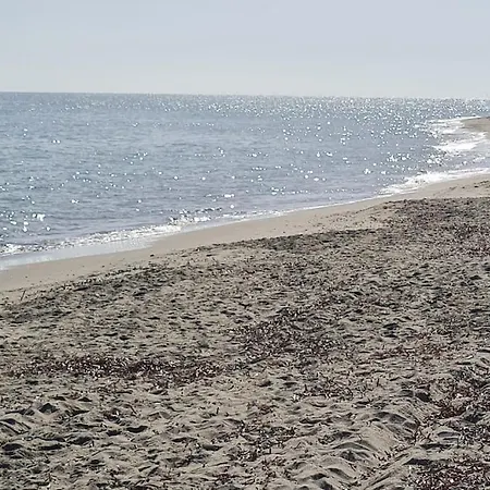 Magnifique Avec Piscine En Bord De *
