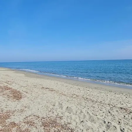Magnifique Avec Piscine En Bord De