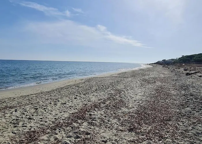 Magnifique Avec Piscine En Bord De Lucciana (Corsica)