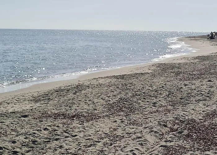 Magnifique Avec Piscine En Bord De *