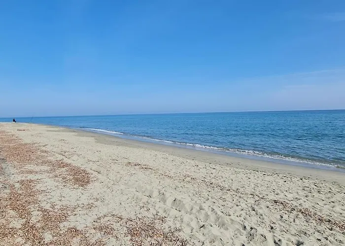 Magnifique Avec Piscine En Bord De